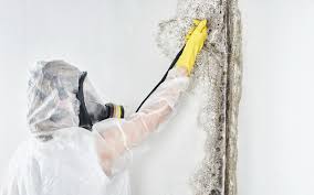 Best Mold Prevention Services  in West Perrine, FL